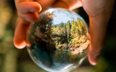 Economía circular y second life